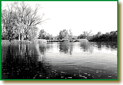 High Water River Photo
