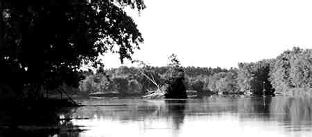 Islands in the Missippi River