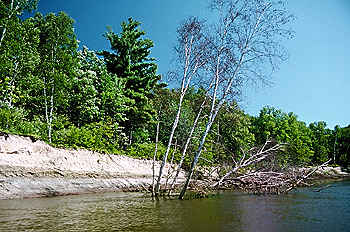 pending high water photo